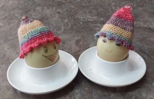 Egg Cozies(+free shipping)