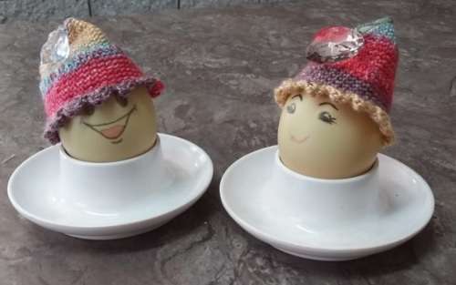 Egg Cozies(+free shipping)