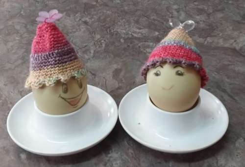 Egg Cozies(+free shipping)