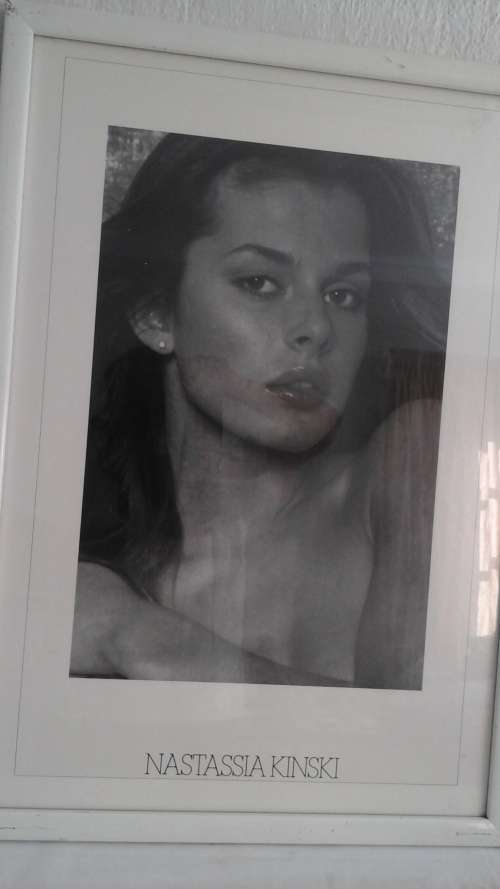 AWESOME VINTAGE FRAMED BLACK AND WHITE PRINT OF NASTASSJA KINSKI. GREAT PIECE!