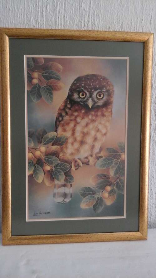 GORGEOUS FRAMED OWL PRINT SIGNED LISA HALSTEAD. BEAUTIFUL & PROUDLY SOUTH AFRICAN!