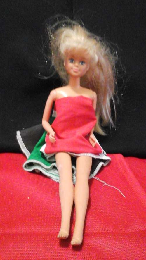 PRETTY PETRA DOLL TO ADD TO YOUR PETRA COLLECTION