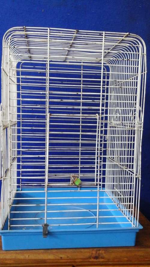 LOOKING FOR A NICE BIRDCAGE