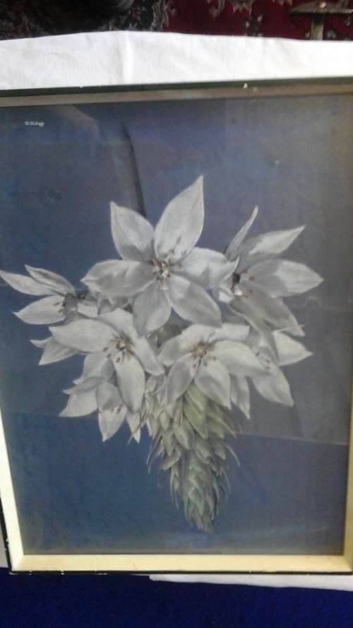 SPECTACULAR VINTAGE FRAMED FLORAL PRINT. SIGNED/ TITLED HVOS. BEAUTIFUL PIECE!