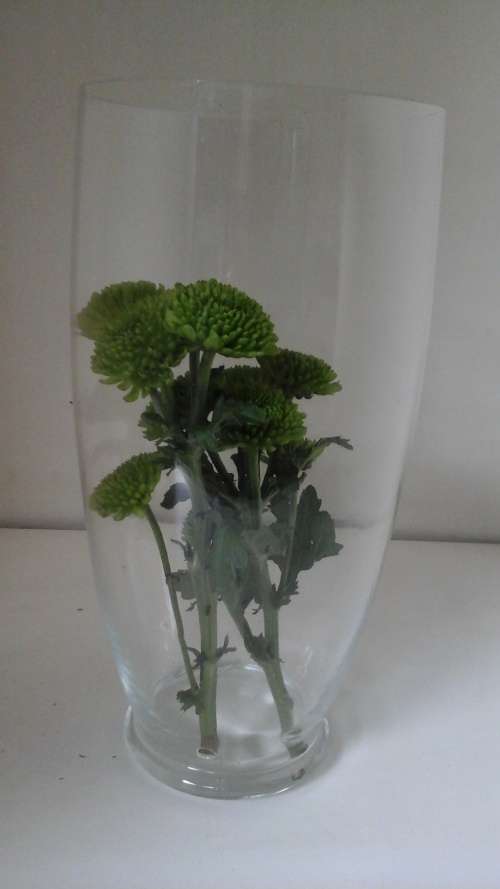 SIMPLY EXQUISITE GLASS VASE. FANTASTIC AND USEFUL PIECE!