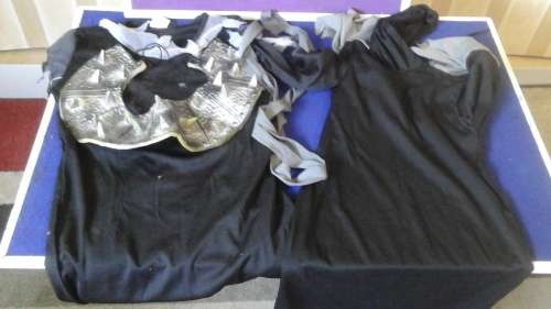 SPOIL THE KIDS AND DRESS THEM UP FOR HALLOWEEN WITH THESE TWO COSTUMES