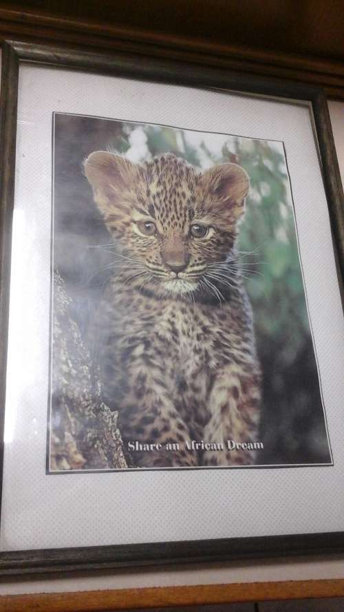 SIMPLY ADORABLE AND SPECTACULAR FRAMED "SHARE AN AFRICAN DREAM" PRINT. BEAUTIFUL!