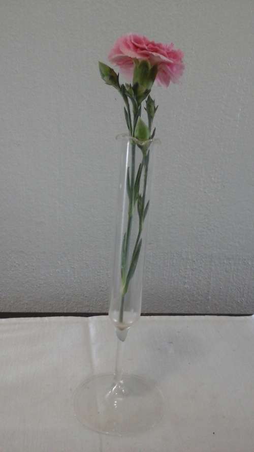 SIMPLY EXQUISITE STEM VASE. FANTASTIC AND USEFUL PIECE!