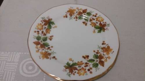 COLLECT QUEEN ANNE.THIS BEAUTIFUL AUTUMN LEAF SIDE PLATE WILL MAKE A PERFECT ADDITION