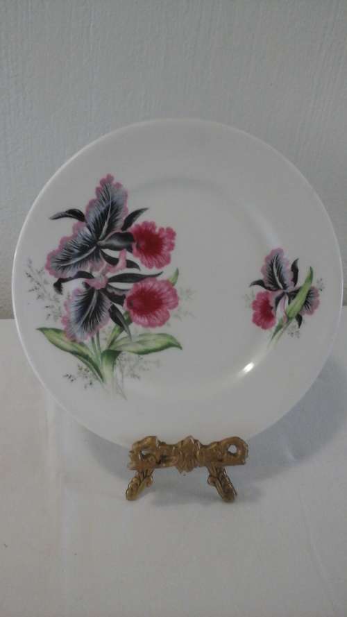 AN EXQUISITE VINTAGE QUEEN ANNE  ENGLAND SIDE PLATE USE AS A SPARE OR MIX AND MATCH