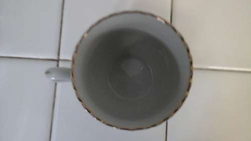 BEAUTIFUL REGENT CHINA ENGLISH ROSE TEA CUP. MAGIFICENT PIECE!