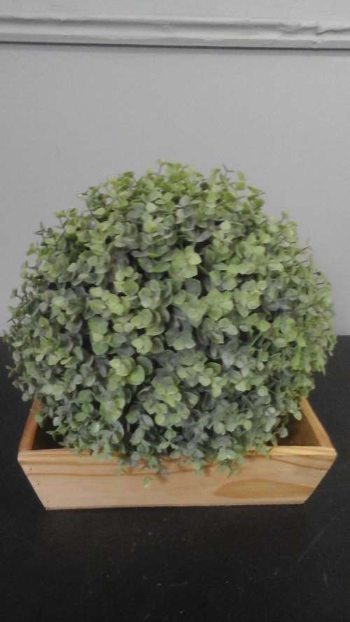 TERRIFIC RECTANGULAR WOODEN FRUIT BOWL OR STORAGE TRAY. FANTASTIC AND FUNCTIONAL PIECE!