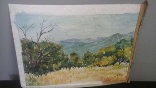 STUNNING UNFRAMED WATER COLOR? OF THE WILD SIGNED JOEY V/R. MAGNIFICENT PIECE!