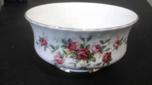 STUNNING CHINA POTTERS PARAGON FINE BONE CHINA BOWL. ENGLAND REG'D. BEAUTIFUL!