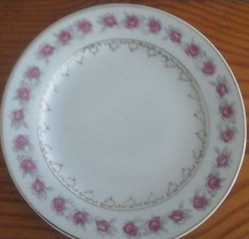 SIMPLY STUNNING VINTAGE ROSE PATTERNED DINNER PLATE.  BEAUTIFUL PIECE!