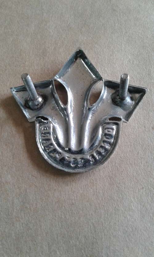 SA Army Corps Professional Officers cap badge - chrome