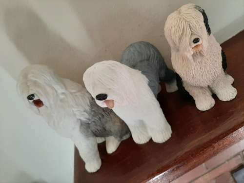 Group of 3 English sheepdogs