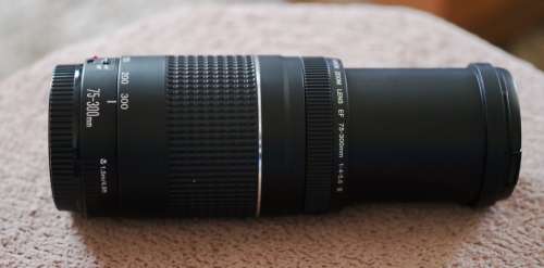 Canon 75-300 EF 1:4.5-6 iii Lens.