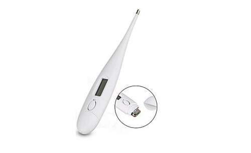 Digital thermometer
