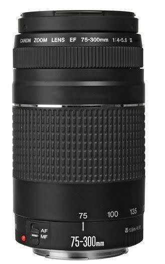 Canon EF 75-300mm f4.0-5.6 III Lens