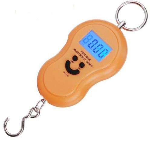 50kg Portable Electronic Scale