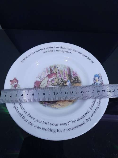 ROYAL DOULTON BEATRIX POTTER PLATE IN EXCELLENT CONDITION
