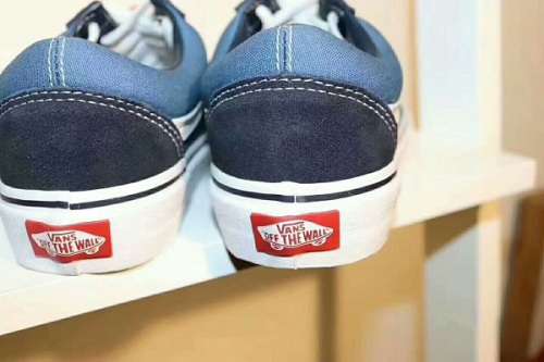 Vans Old Skool Canvas & Suede Skate Shoes/Sneakers (Navy Blue/White)