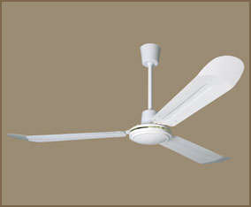 Ceiling Fan
