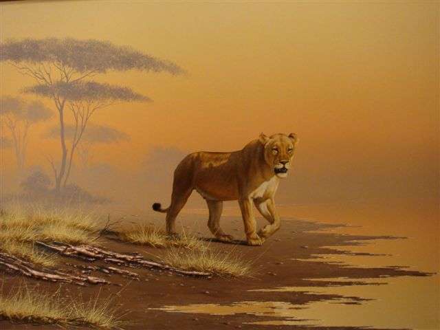 Brian Scott-Dawkins,Lioness.