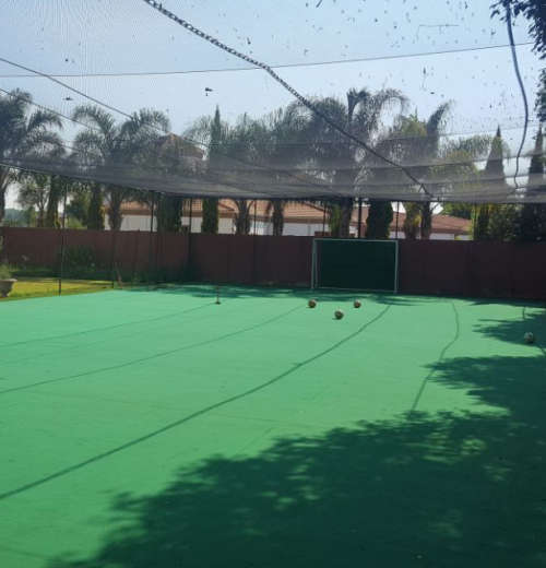 Artificial Grass Sports Turf