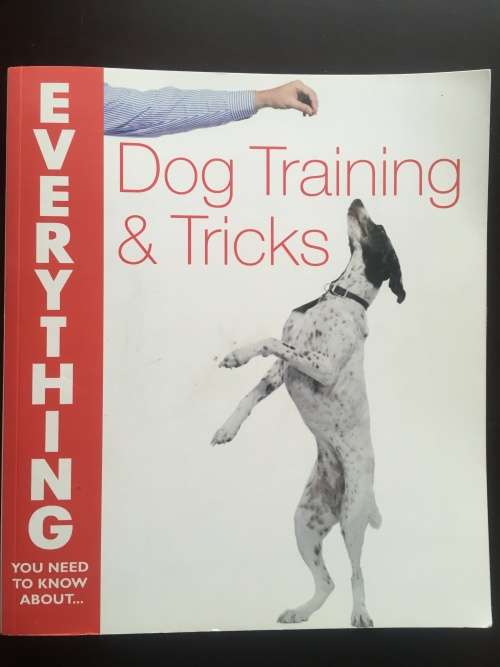 Dog Training and Tricks