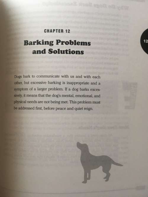 Dog Training and Tricks