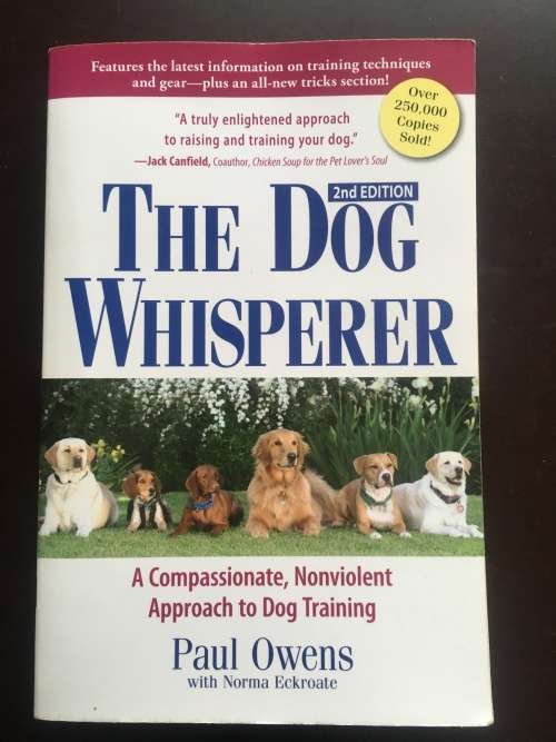 The Dog Whisperer by Paul Owen
