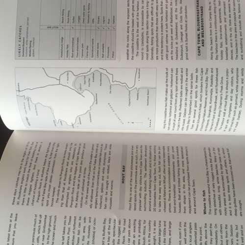 The South African Fisherman - Ivor Whibley