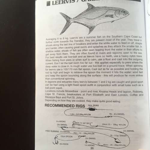 Cape Coast Fishing Guide