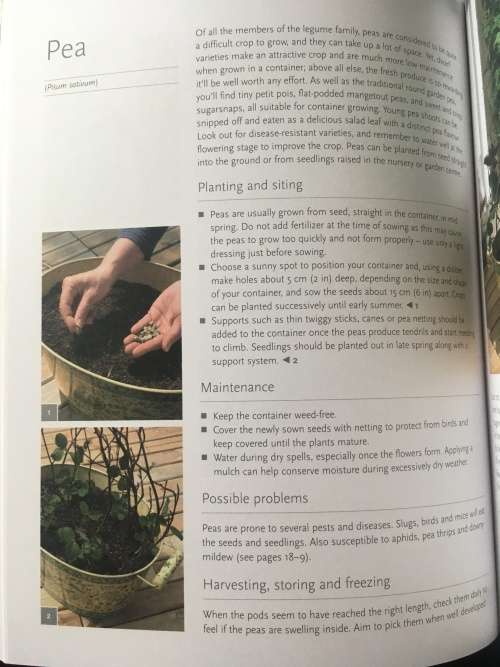 Pot it, grow it, eat it! - Home grwon produce from pot to pan