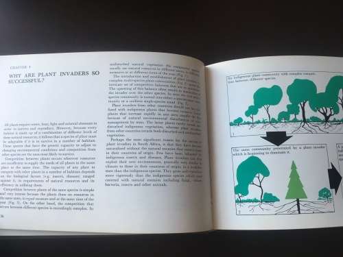 Plant Invaders - Beautiful, but dangerous