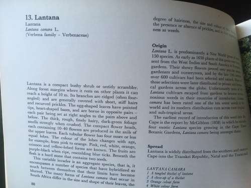 Plant Invaders - Beautiful, but dangerous