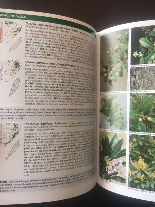 Trees of Eastern South Africa - A Complete Guide - Pooley