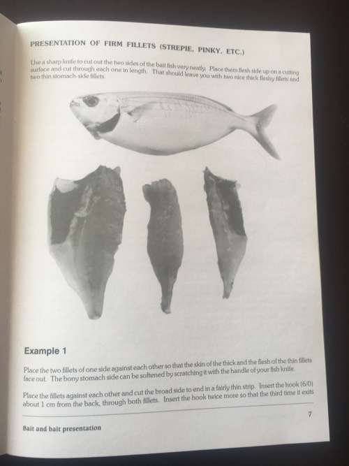 Fishing for Elf - Sea Angling Guide