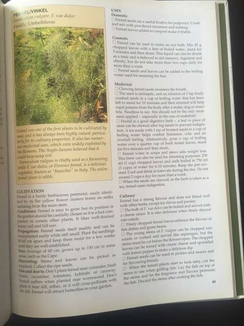 A-Z of Herbs - Margaret Roberts