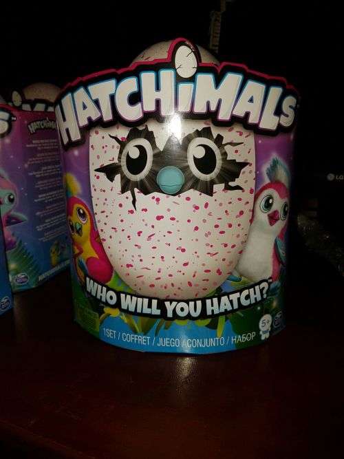 Hatchimals Hatching Egg 
