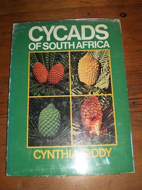 CYCADS OF SOUTH AFRICA - Cynthia Giddy