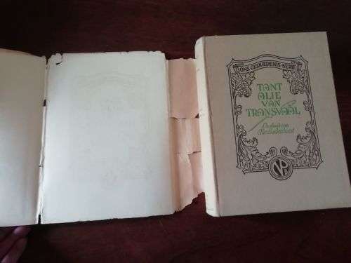 TANT ALIE VAN TRANSVAAL - Dagboek van Alie Badenhorst