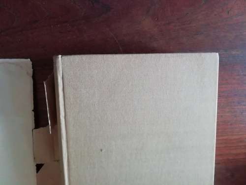 TANT ALIE VAN TRANSVAAL - Dagboek van Alie Badenhorst