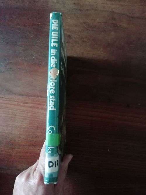 DIE UILE IN DOE VERLORE STAD - Cor Dirks