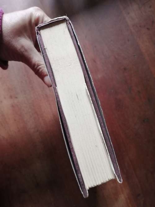 BIG GAME HUNTING IN NORTH-EASTERN RHODESIA - Owen Letcher