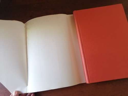 SOME FRONTIER FAMILIES - I Mitford-Barberton and Violet White