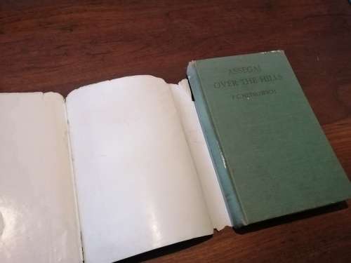 ASSEGAI OVER THE HILLS -  FC Metrowich