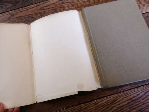 DUSKLANDS -  JM Coetzee *first edition